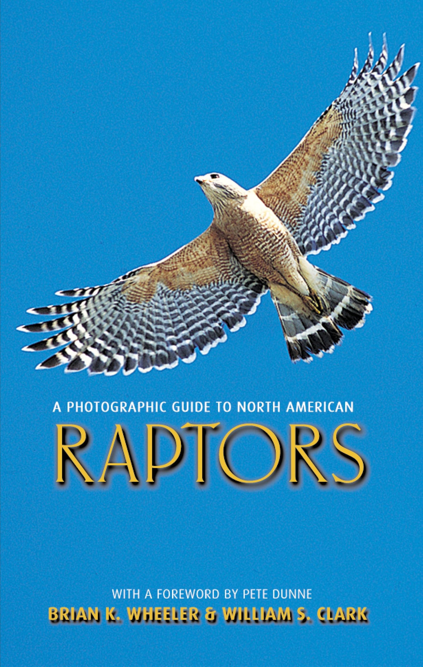 A Photographic Guide to North American Raptors