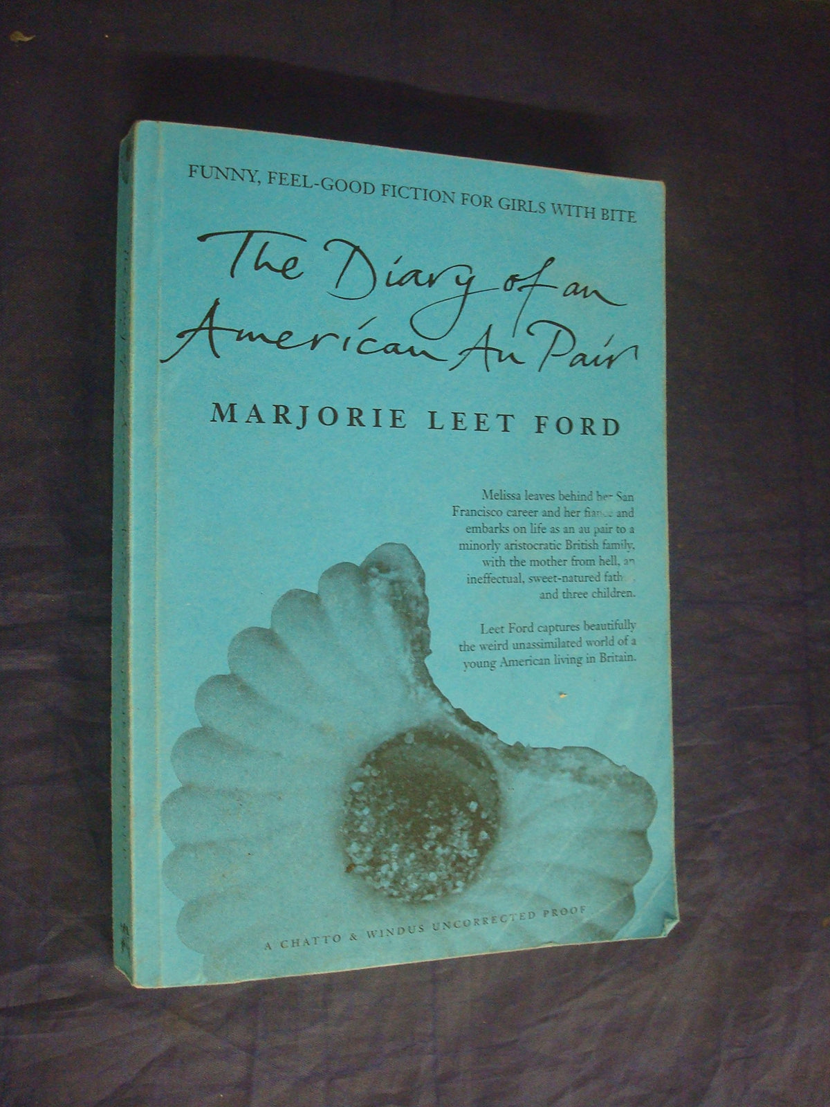 Diary of An American Au Pair