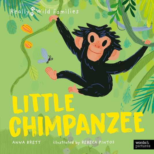 Little Chimpanzee: A Day in the Life of a Baby Chimp (Really Wild Families) - 7087