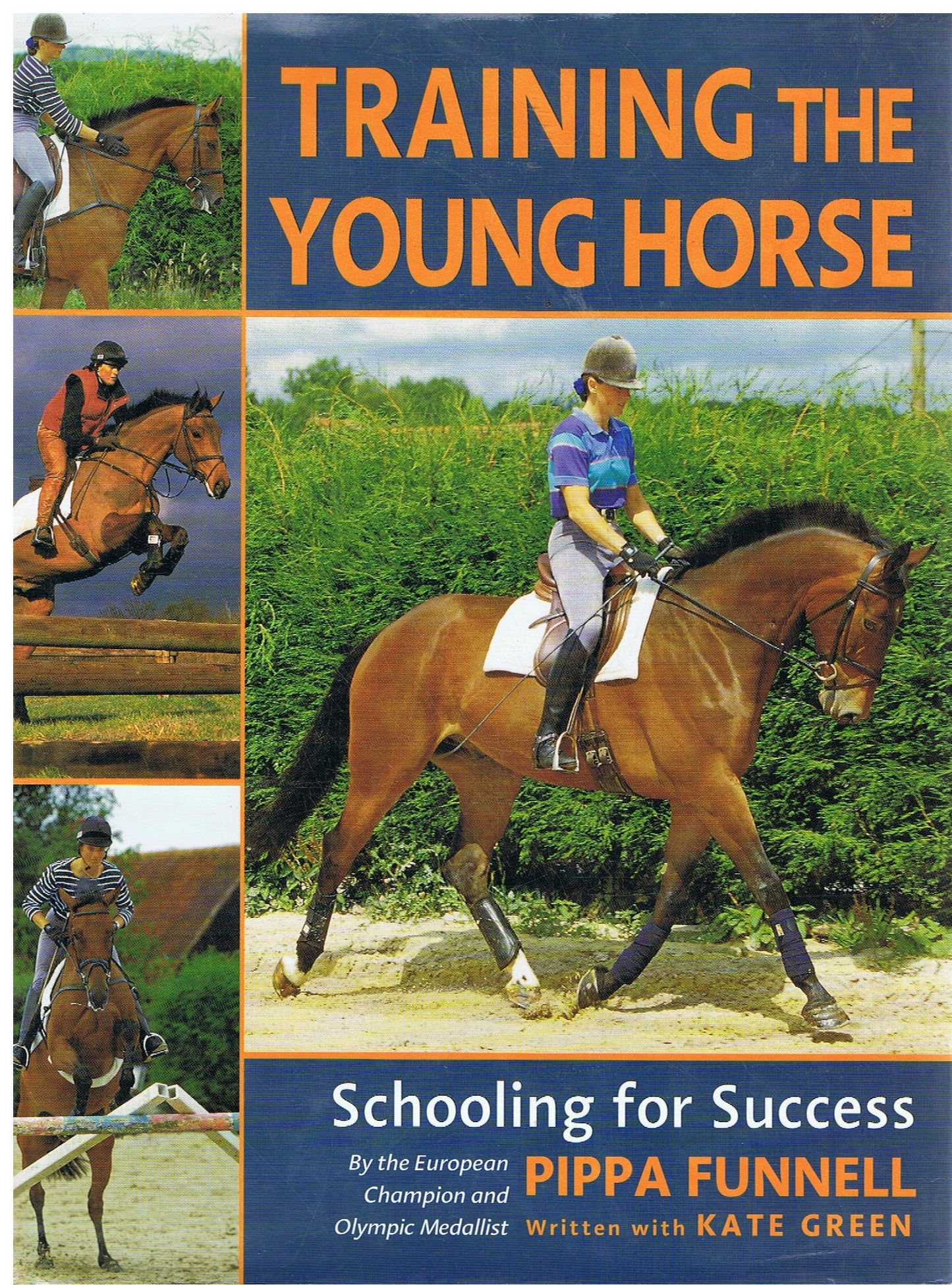 Training the Young Horse: Schooling for Success