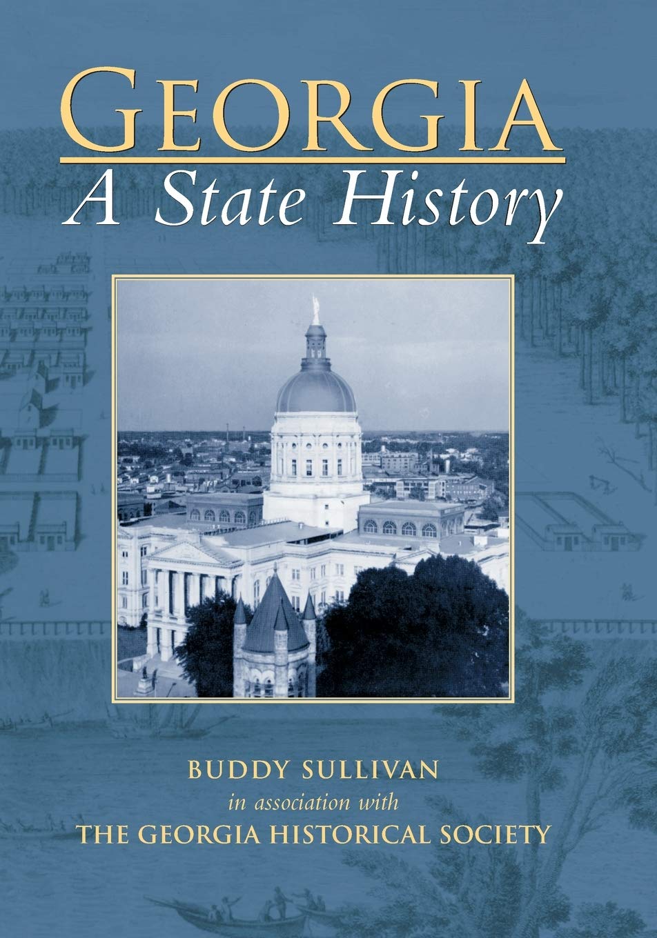 Georgia:: A State History (Making of America (Arcadia))