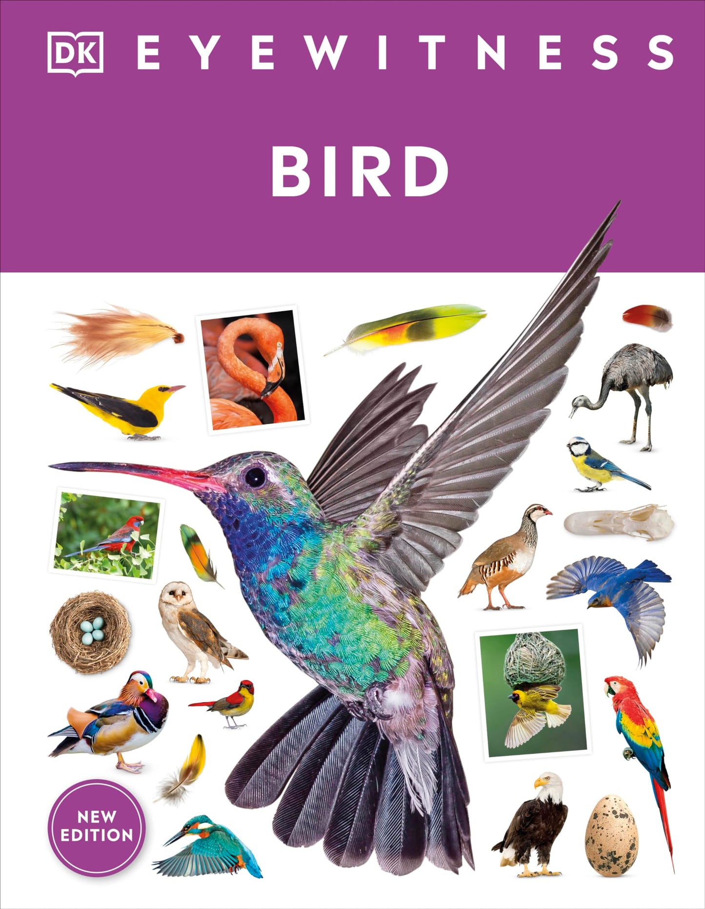 Eyewitness Bird (DK Eyewitness)