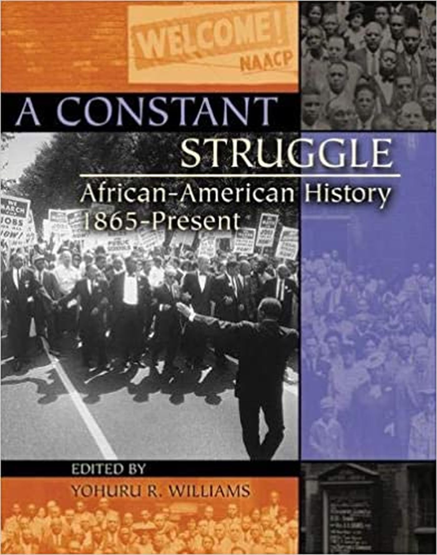 A Constant Struggle: African-American History 1865-Present - 506