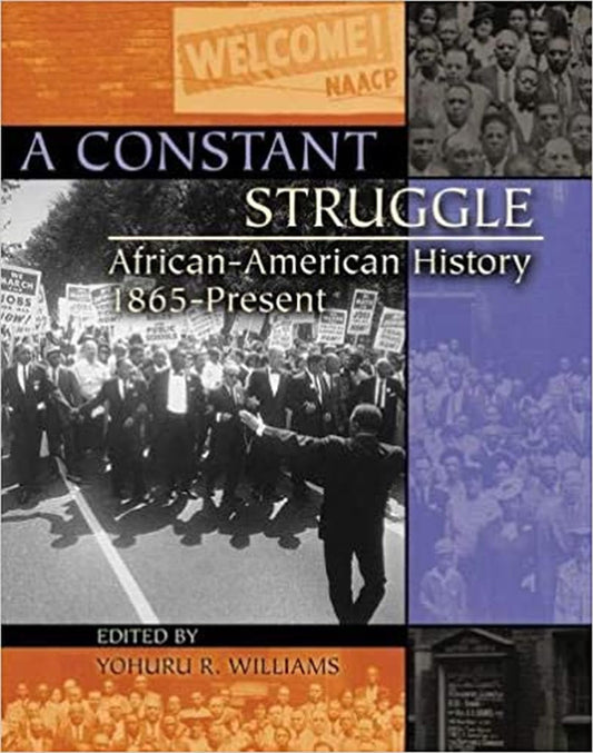 A Constant Struggle: African-American History 1865-Present - 506