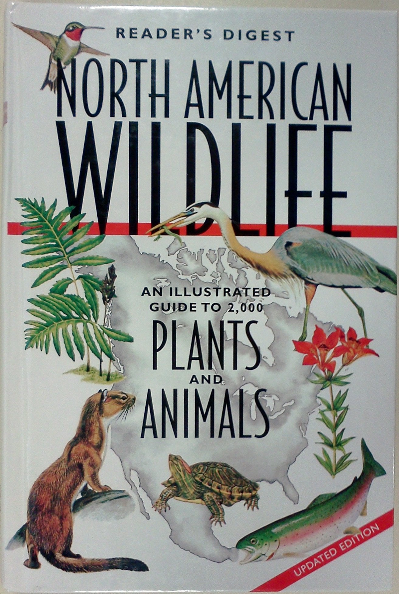 North American Wildlife (revised and updated)