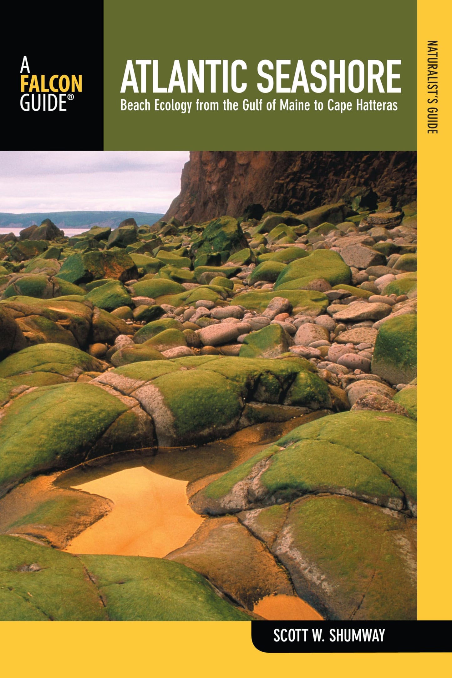 Naturalist's Guide to the Atlantic Seashore (Naturalist's Guide Series)