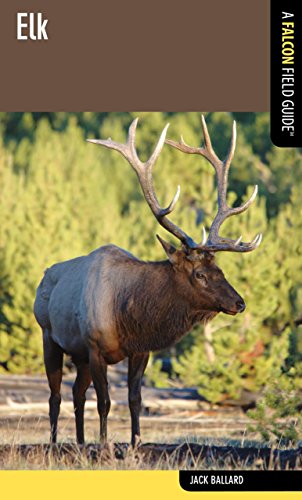 Elk: A Falcon Field Guide (Falcon Field Guide Series)