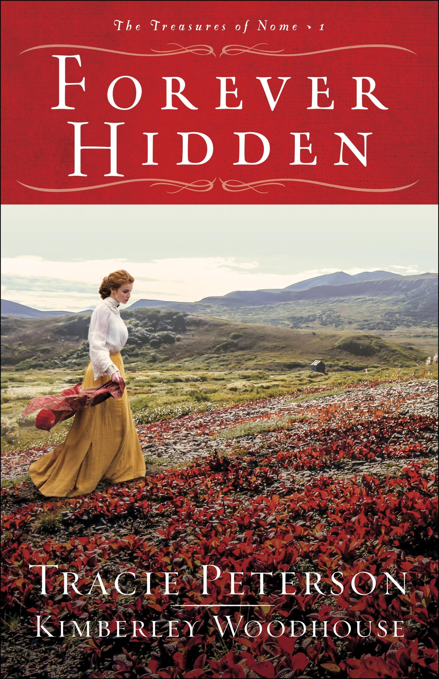 Forever Hidden: A Small Town Christian Historical Romance Set in Early 1900s Alaska (The Treasures of Nome)