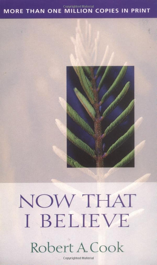 Now That I Believe - 3115