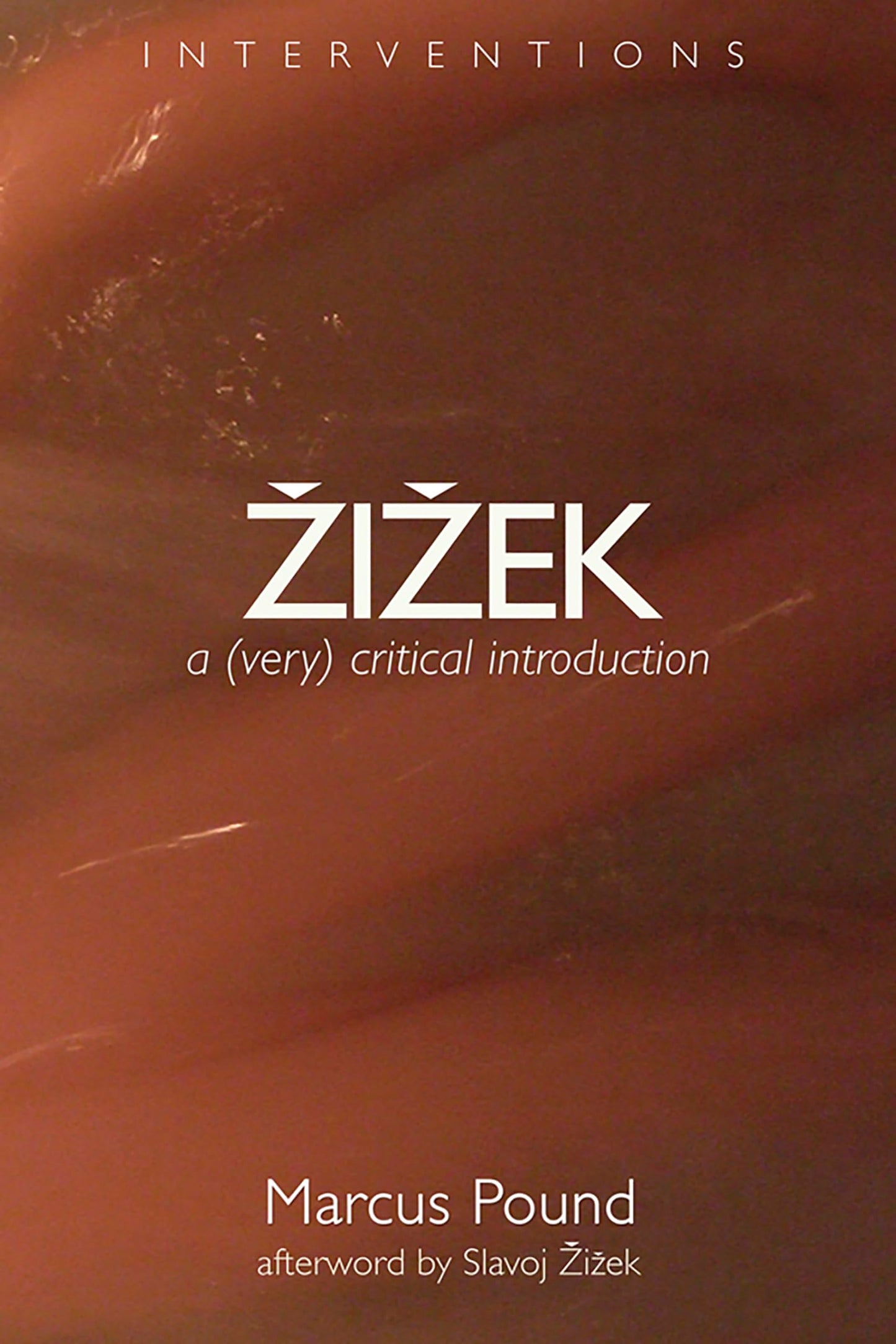 Zizek: A (Very) Critical Introduction (Interventions (INT))