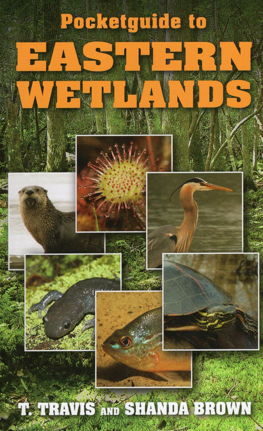 Pocketguide to Eastern Wetlands - 7906