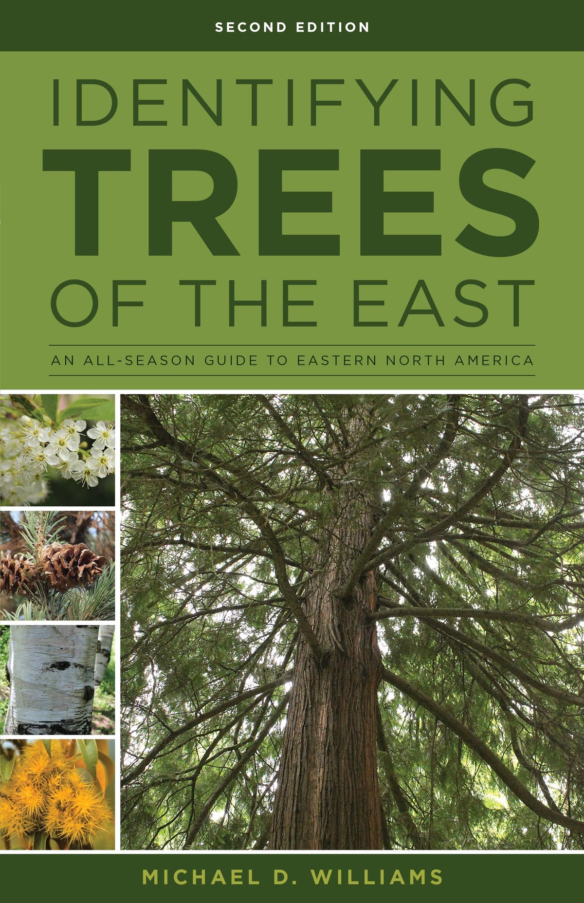 Identifying Trees of the East: An All-Season Guide to Eastern North America