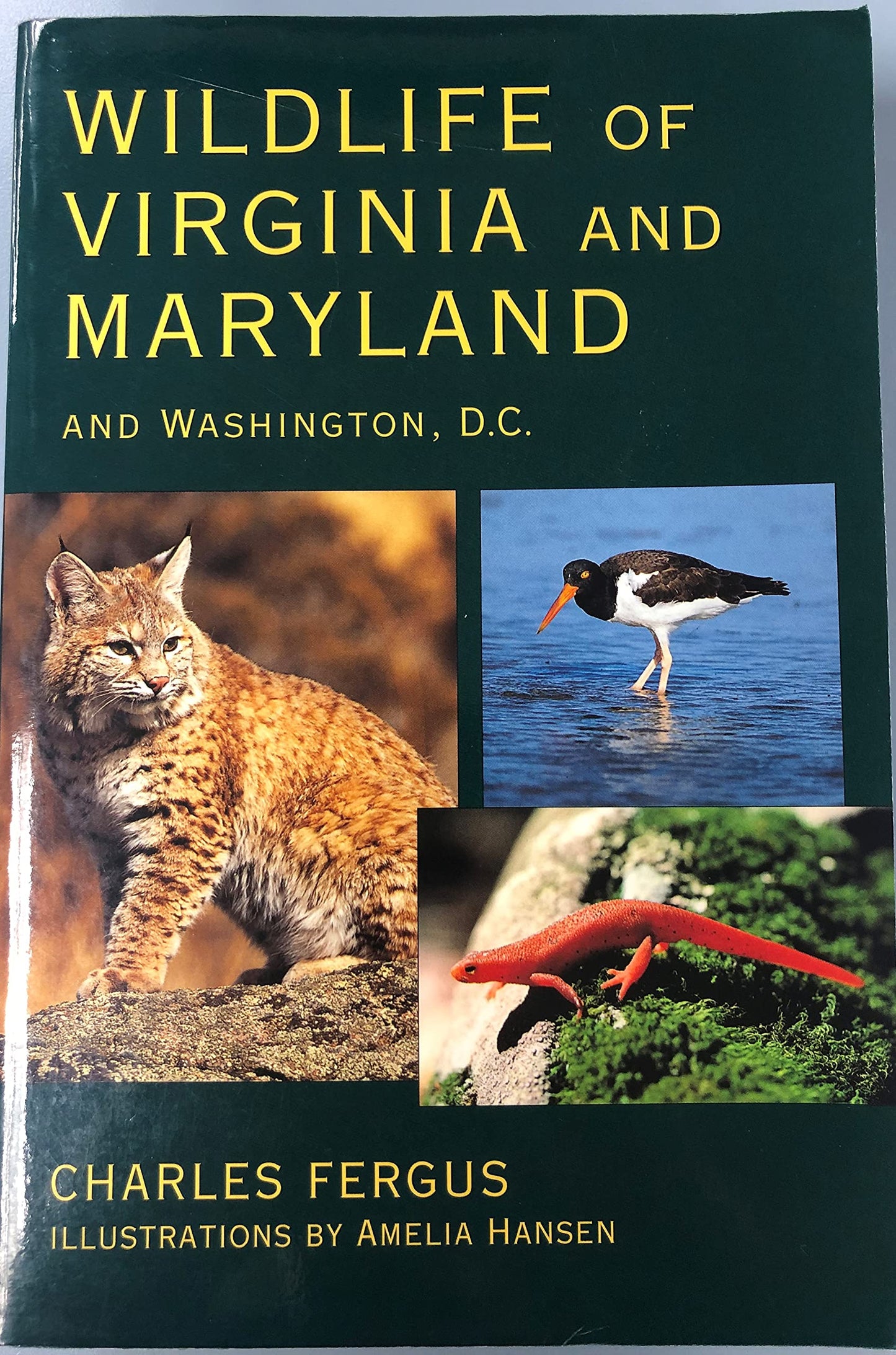 Wildlife of Virginia and Maryland: and Washington, D.C. - 1512