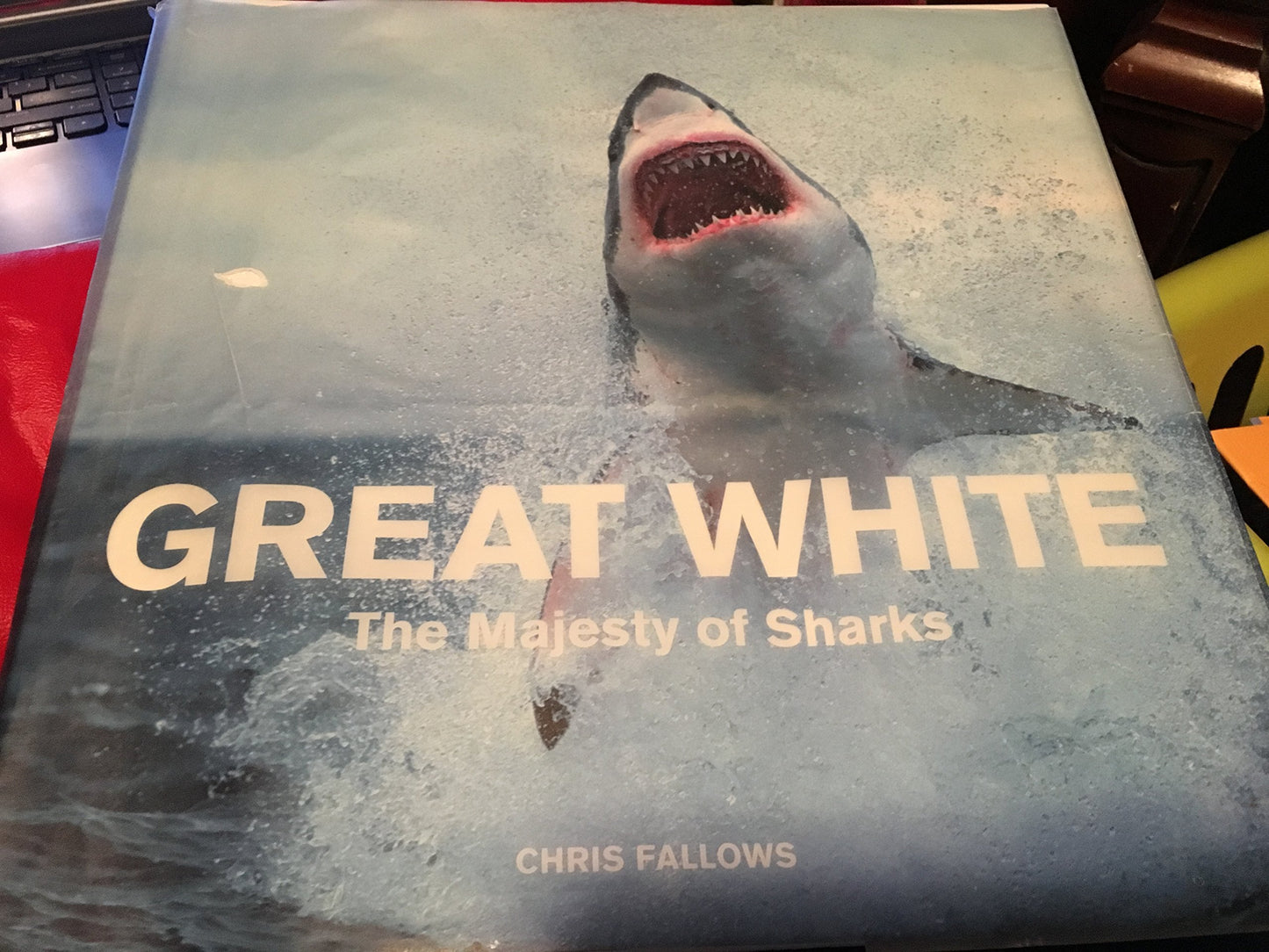 Great White: The Majesty of Sharks