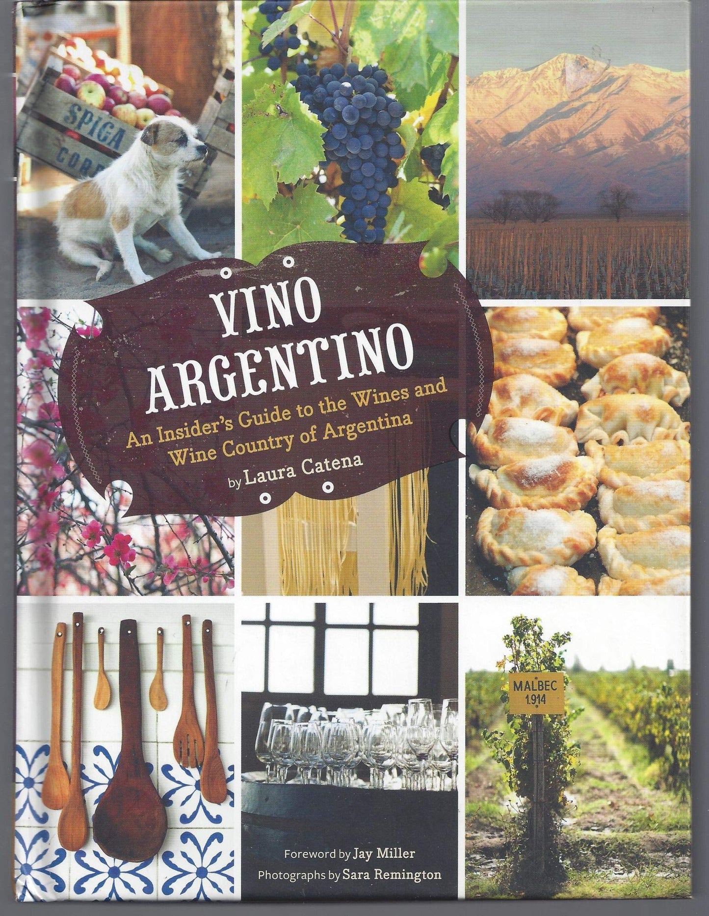 Vino Argentino: An Insider's Guide to the Wines and Wine Country of Argentina