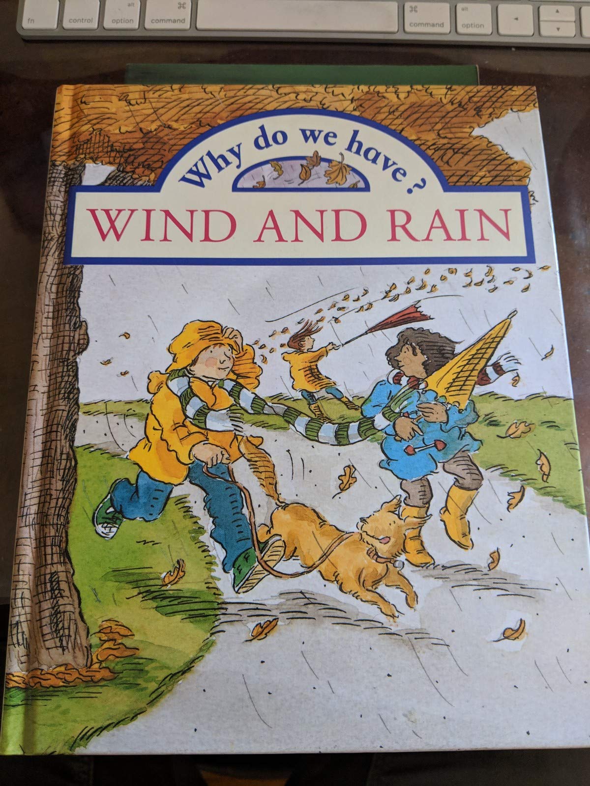 Why Do We Have? Wind and Rain (Why Do We Have? Series)