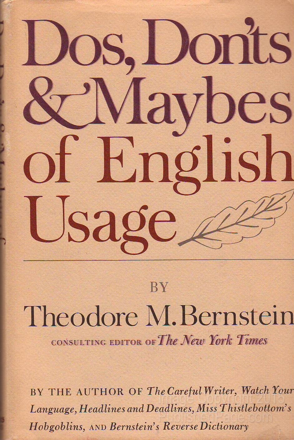 Do's Don'ts and Maybes of English Language