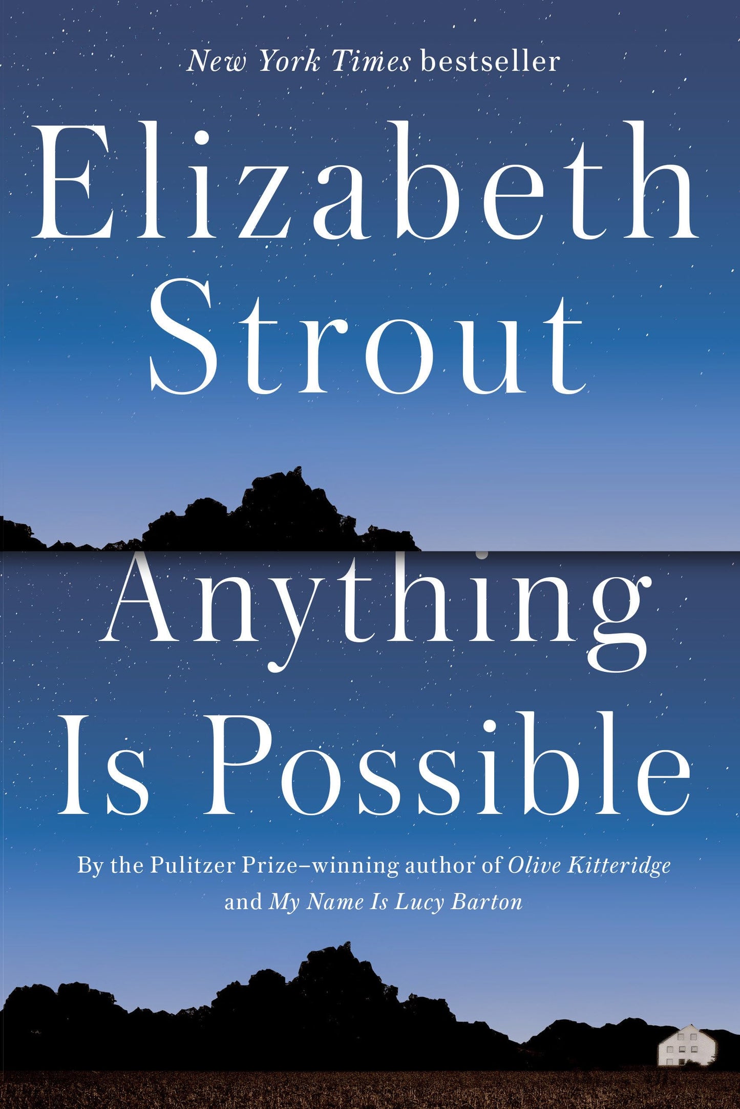 Anything Is Possible: A Novel - 7068