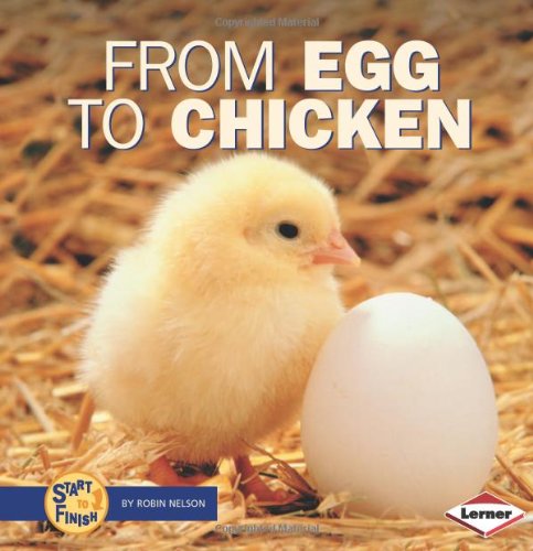 From Egg to Chicken (Start to Finish)
