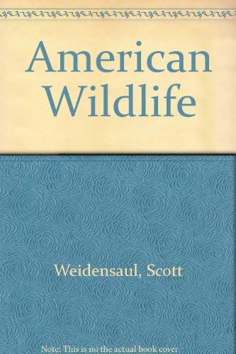 American Wildlife - 3815