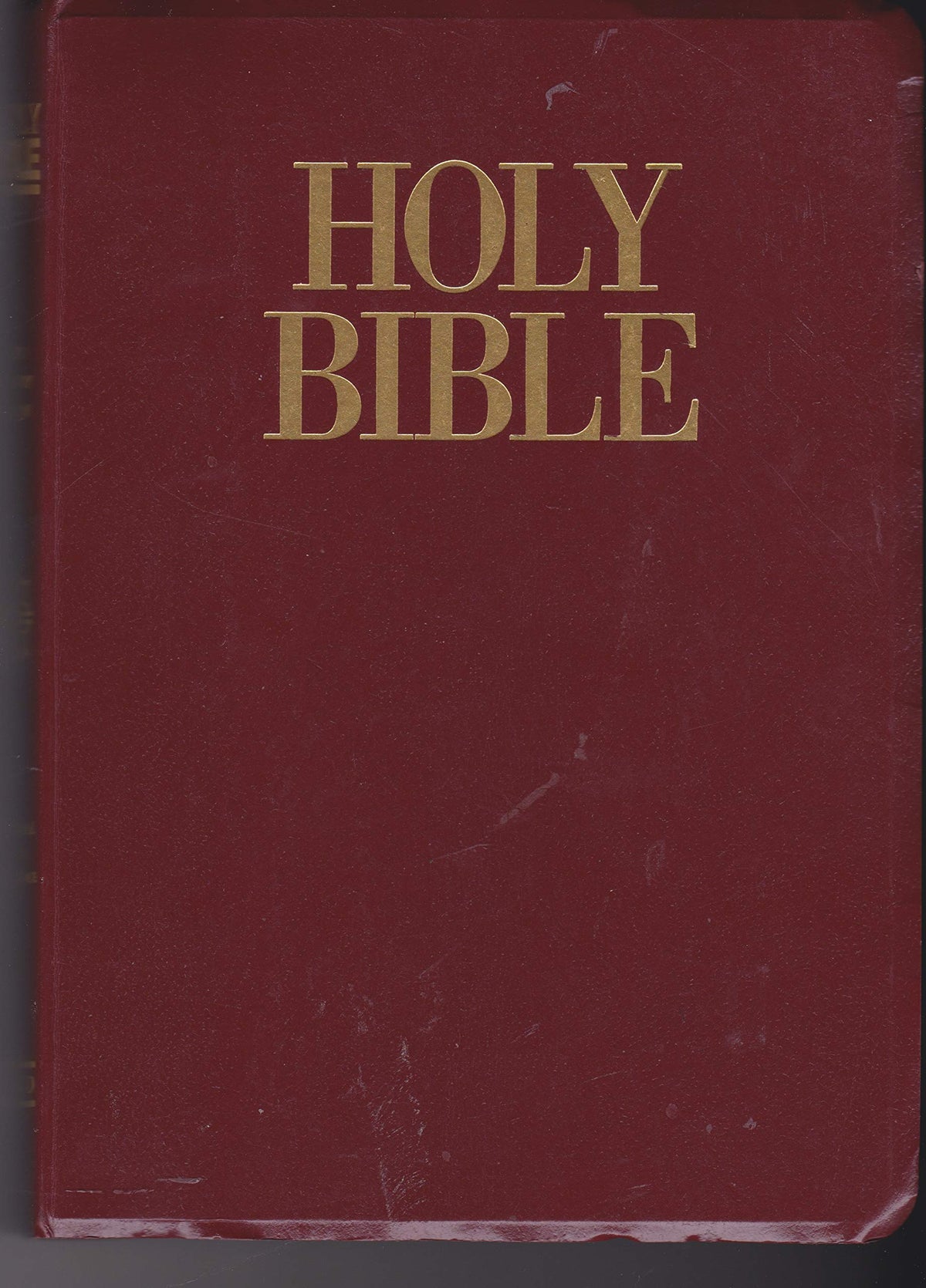 Holy Bible, New Century Version: Burgundy Leatherflex