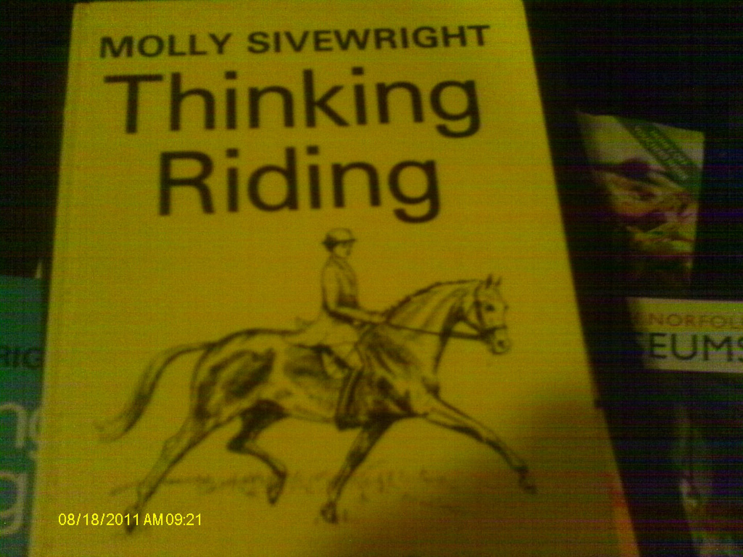 Thinking Riding Book 2: In Good Form