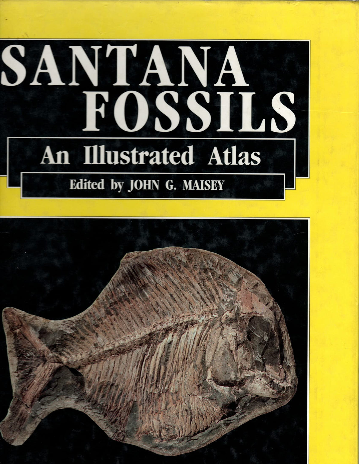 Santana Fossils: An Illustrated Atlas