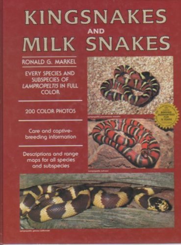 Kingsnakes and Milk Snakes - 8245