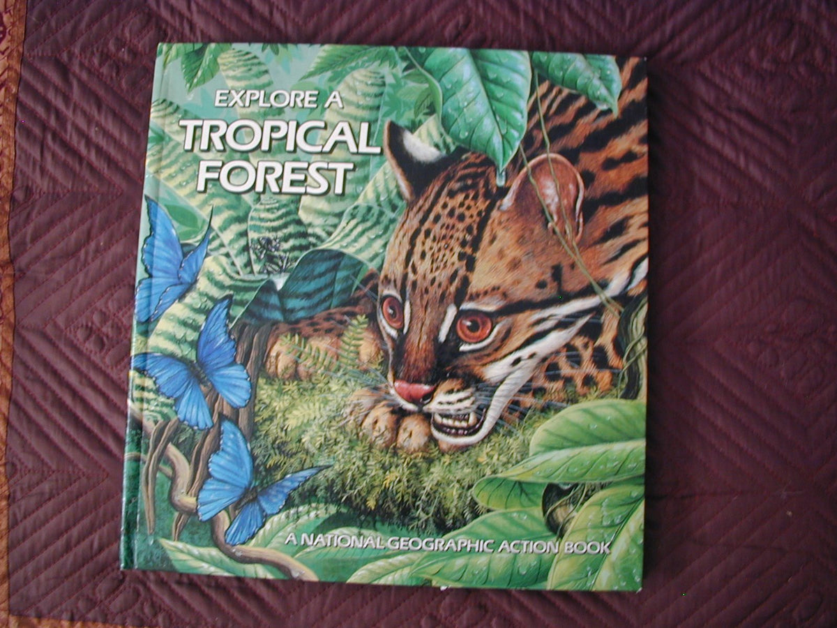 Explore a Tropical Forest, Pop-up Book