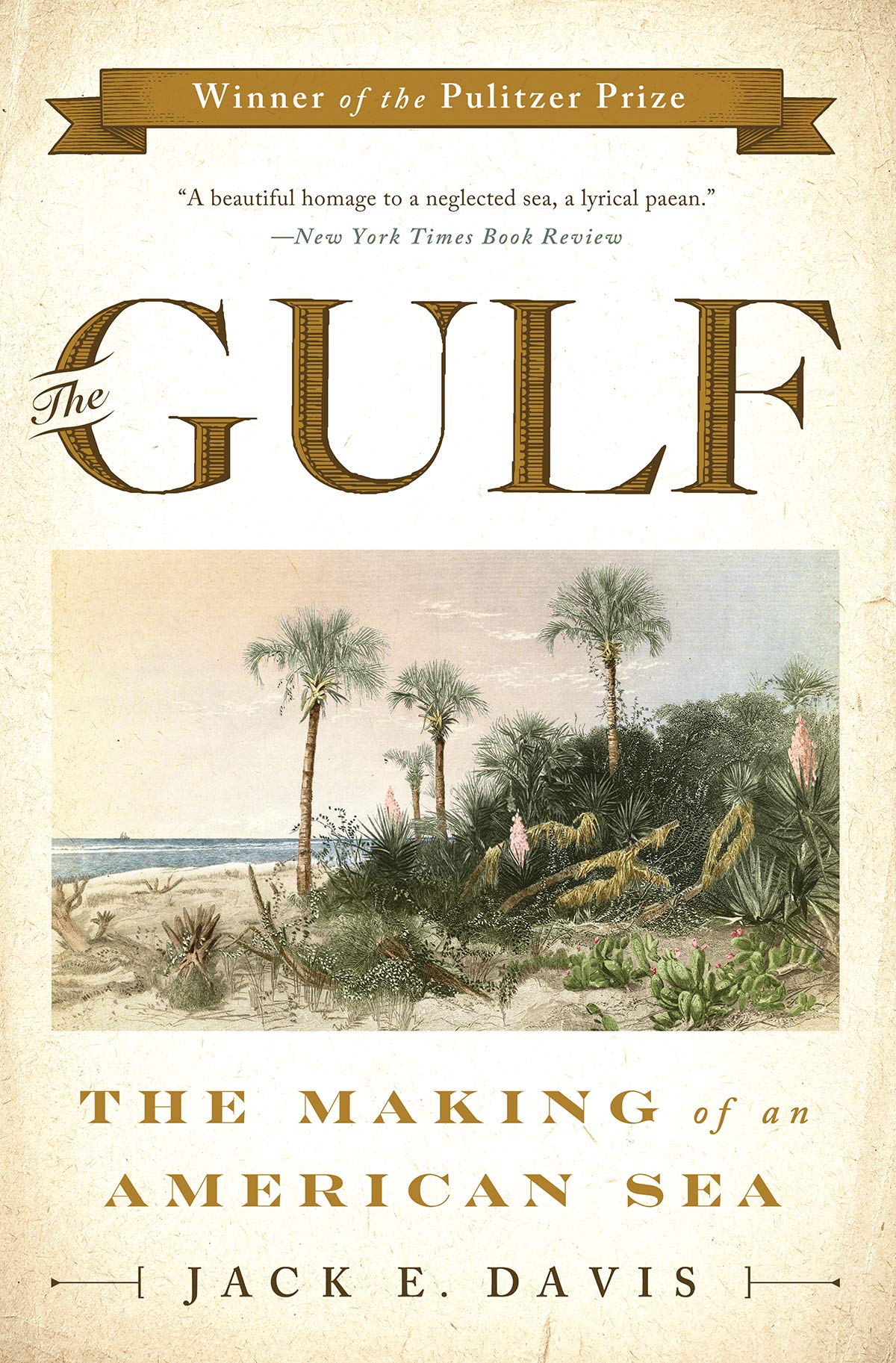 The Gulf: The Making of An American Sea