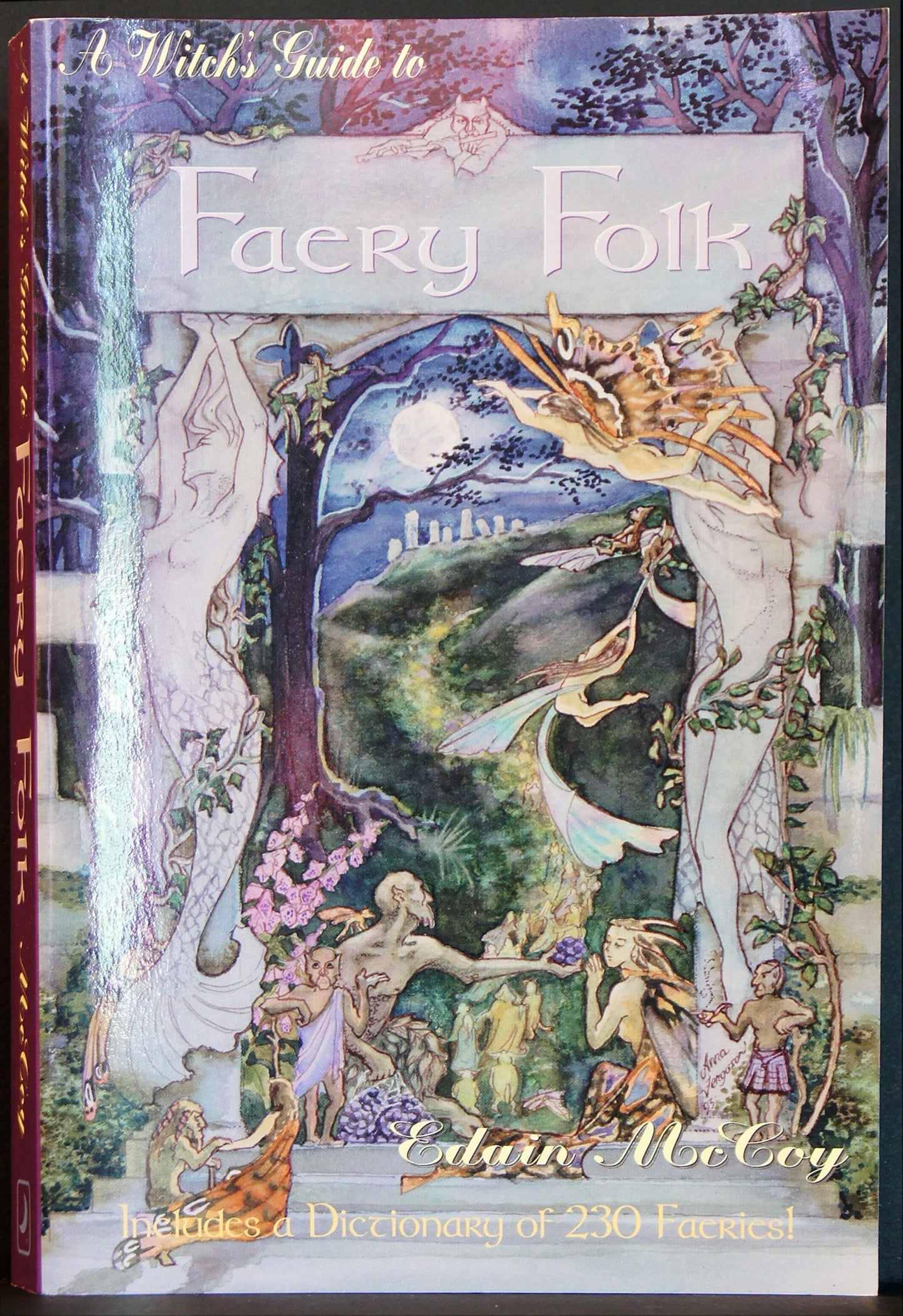 A Witch's Guide to Faery Folk: How to Work with the Elemental World (Llewellyn's New Age Series)