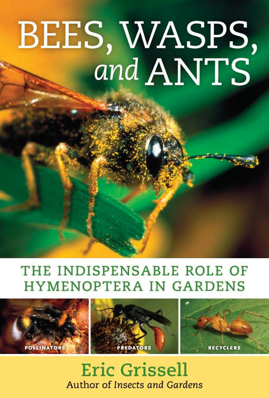 Bees, Wasps, and Ants: The Indispensable Role of Hymenoptera in Gardens - 3848