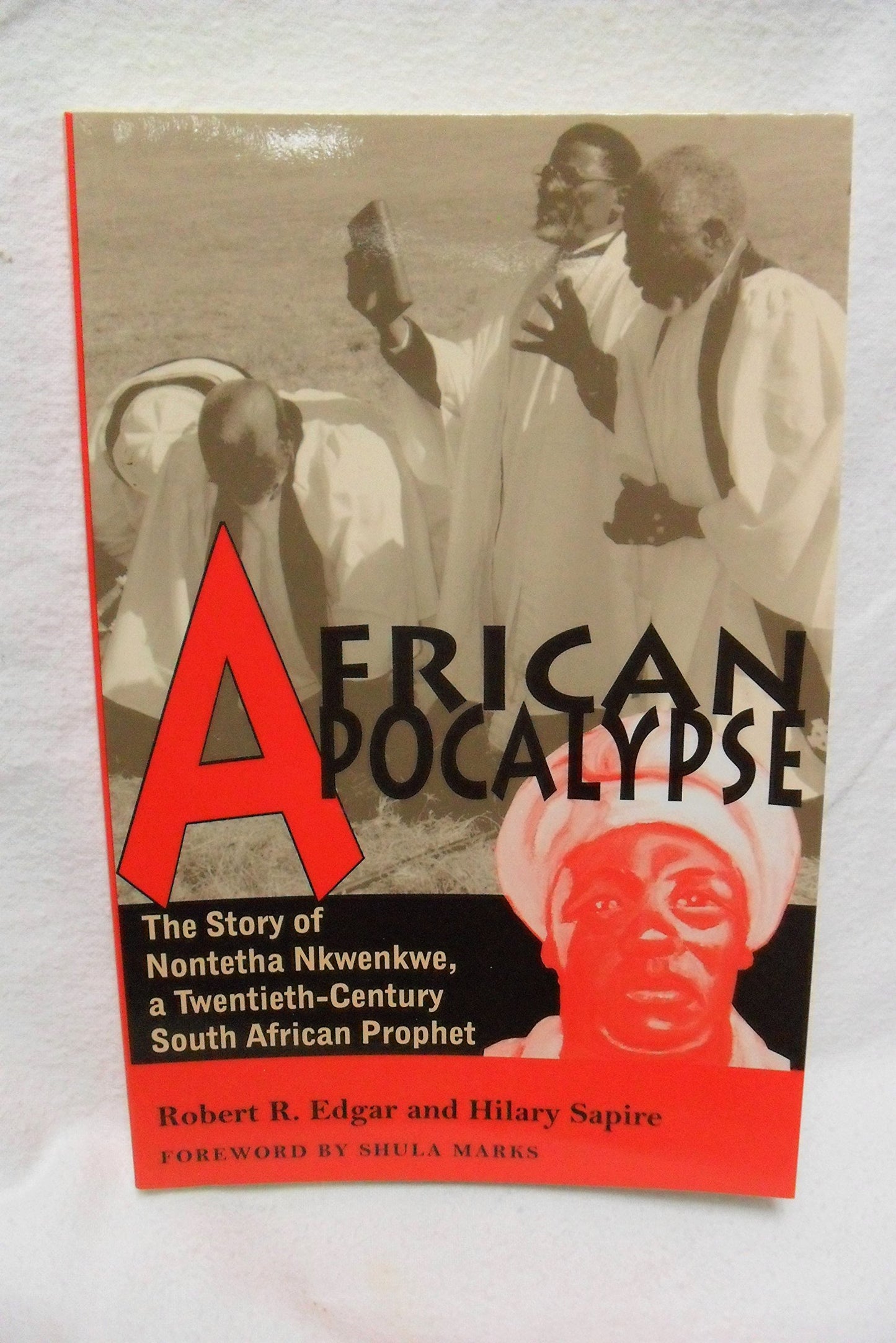 African Apocalypse: The Story of Nontetha Nkwenkwe, a Twentieth-Century South African Prophet (Volume 72) (Ohio RIS Africa Series)