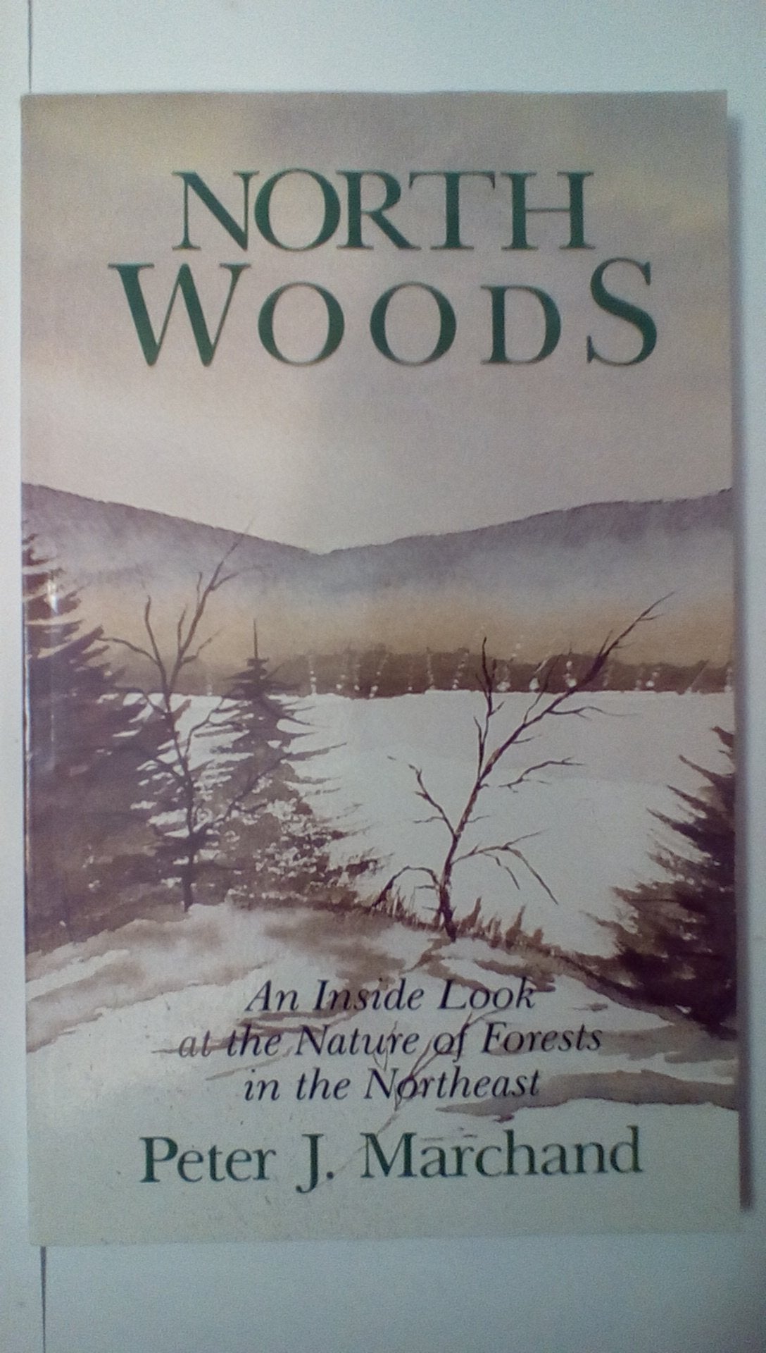 North Woods: An Inside Look at the Nature of Forests in the Northeast