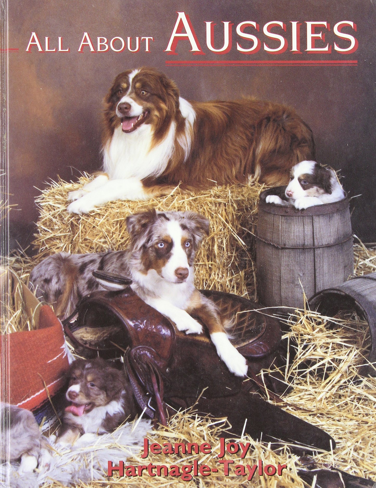 All About Aussies : The Australian Shepherd from A to Z