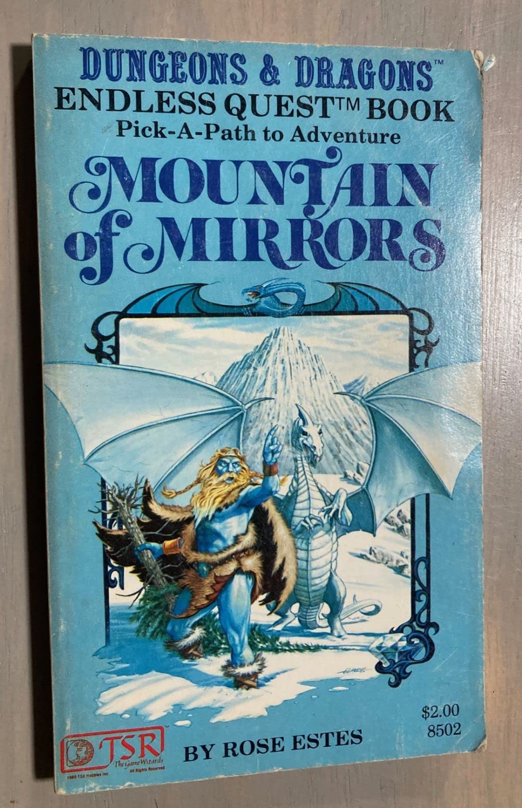 Mountain of mirrors (Endless quest book)