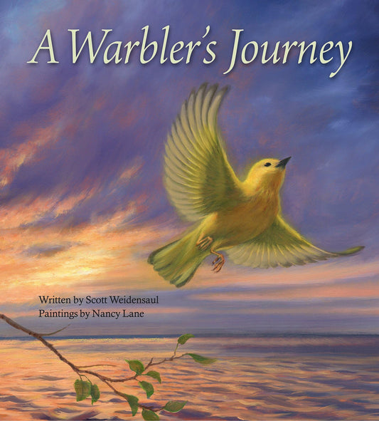 A Warbler's Journey - 3946