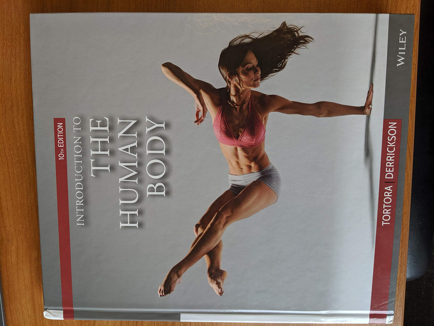 Introduction to the Human Body
