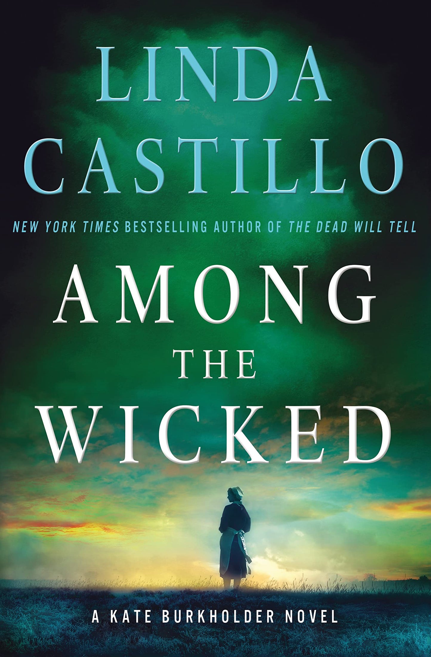 Among the Wicked: A Kate Burkholder Novel