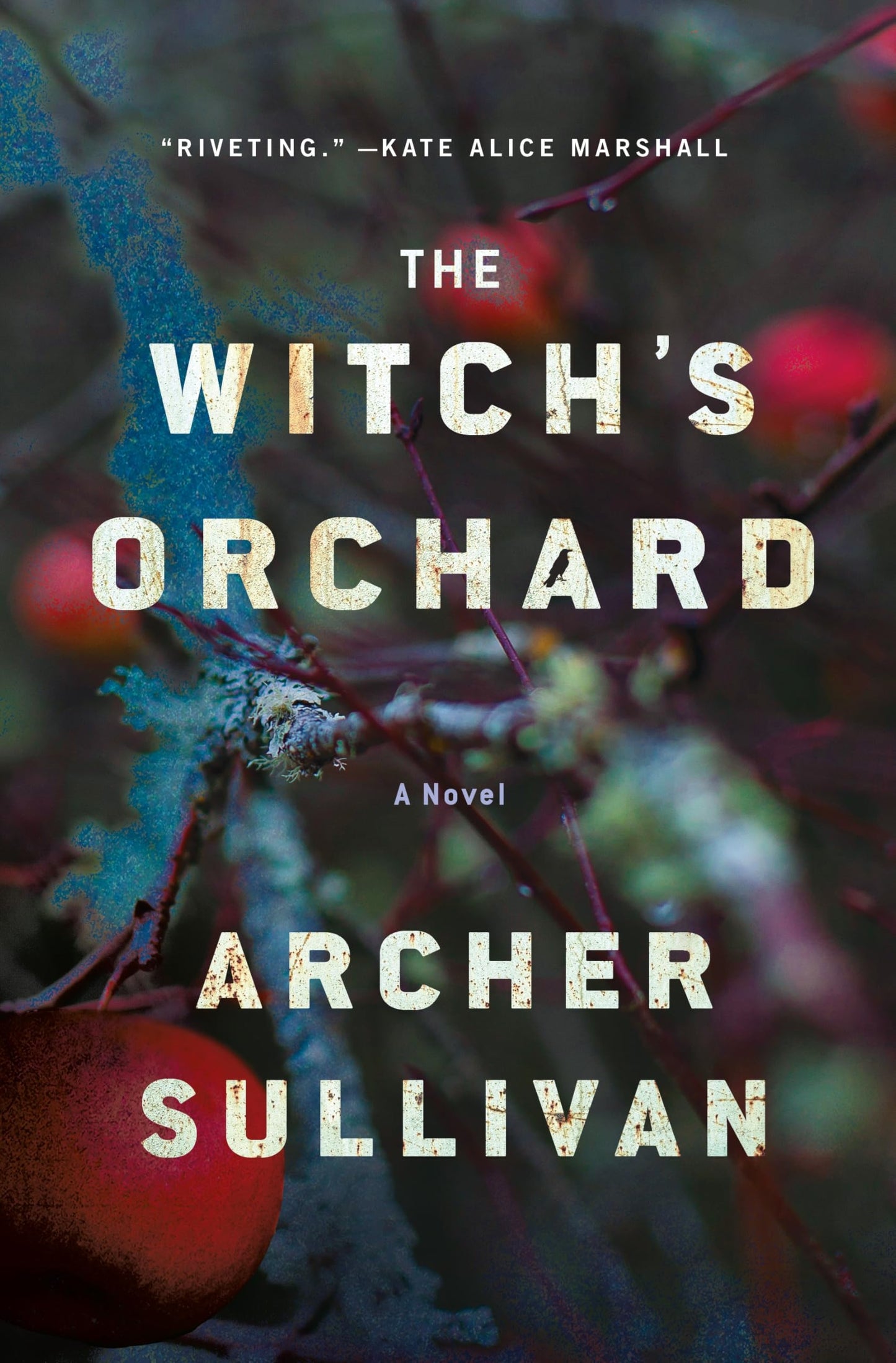 The Witch's Orchard: A Novel (An Annie Gore Novel, 1)
