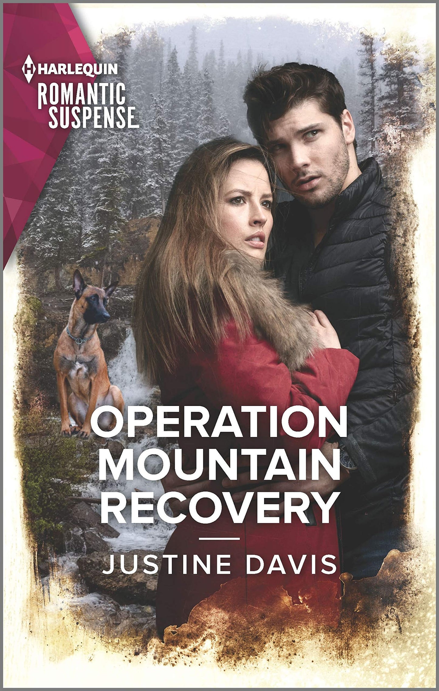 Operation Mountain Recovery: A Thrilling K-9 Suspense Novel (Cutter's Code, 12)