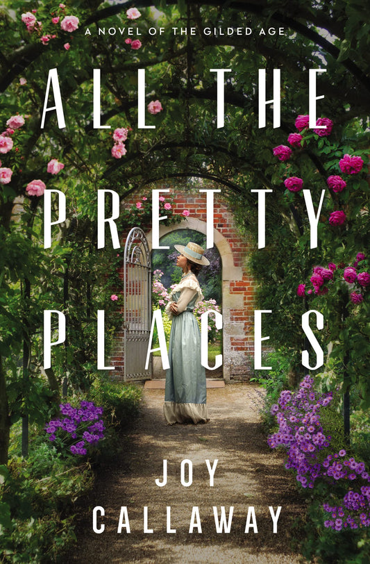 All the Pretty Places: A Novel of the Gilded Age - 9534