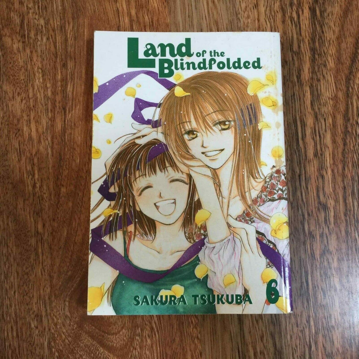 Land of the Blindfolded - VOL 06