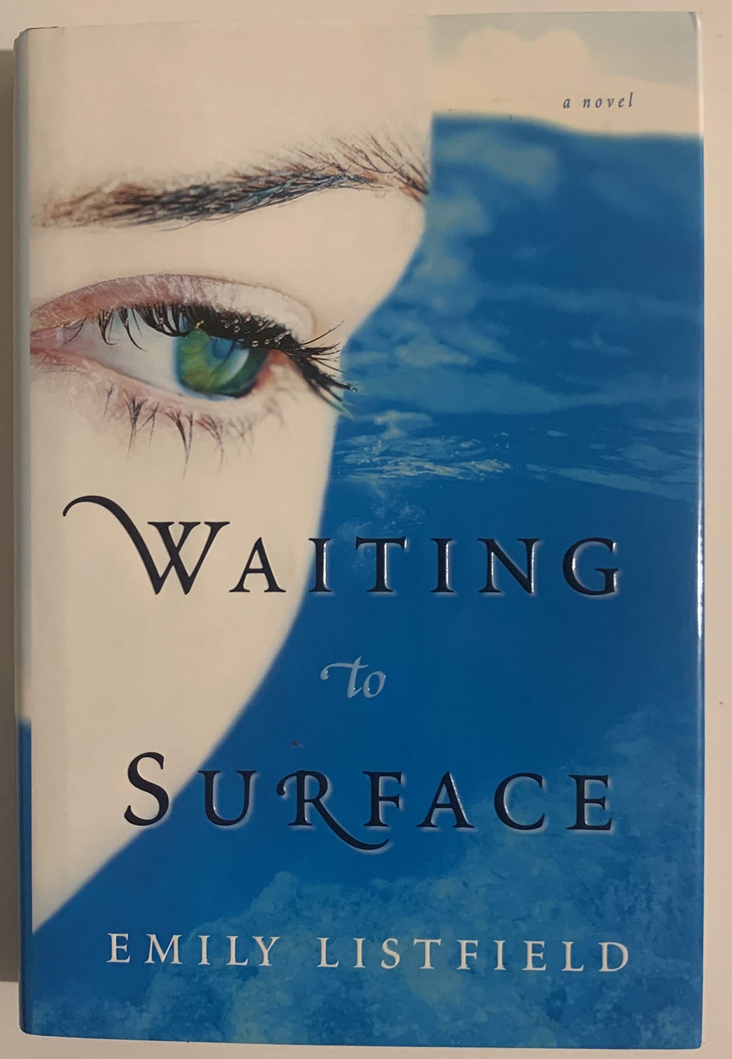 Waiting to Surface: A Novel
