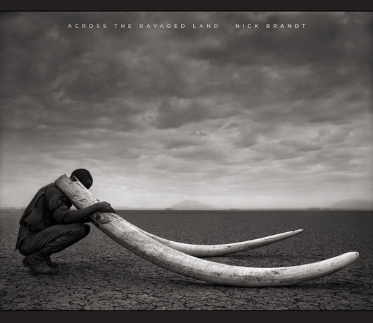 Across the Ravaged Land - 2200