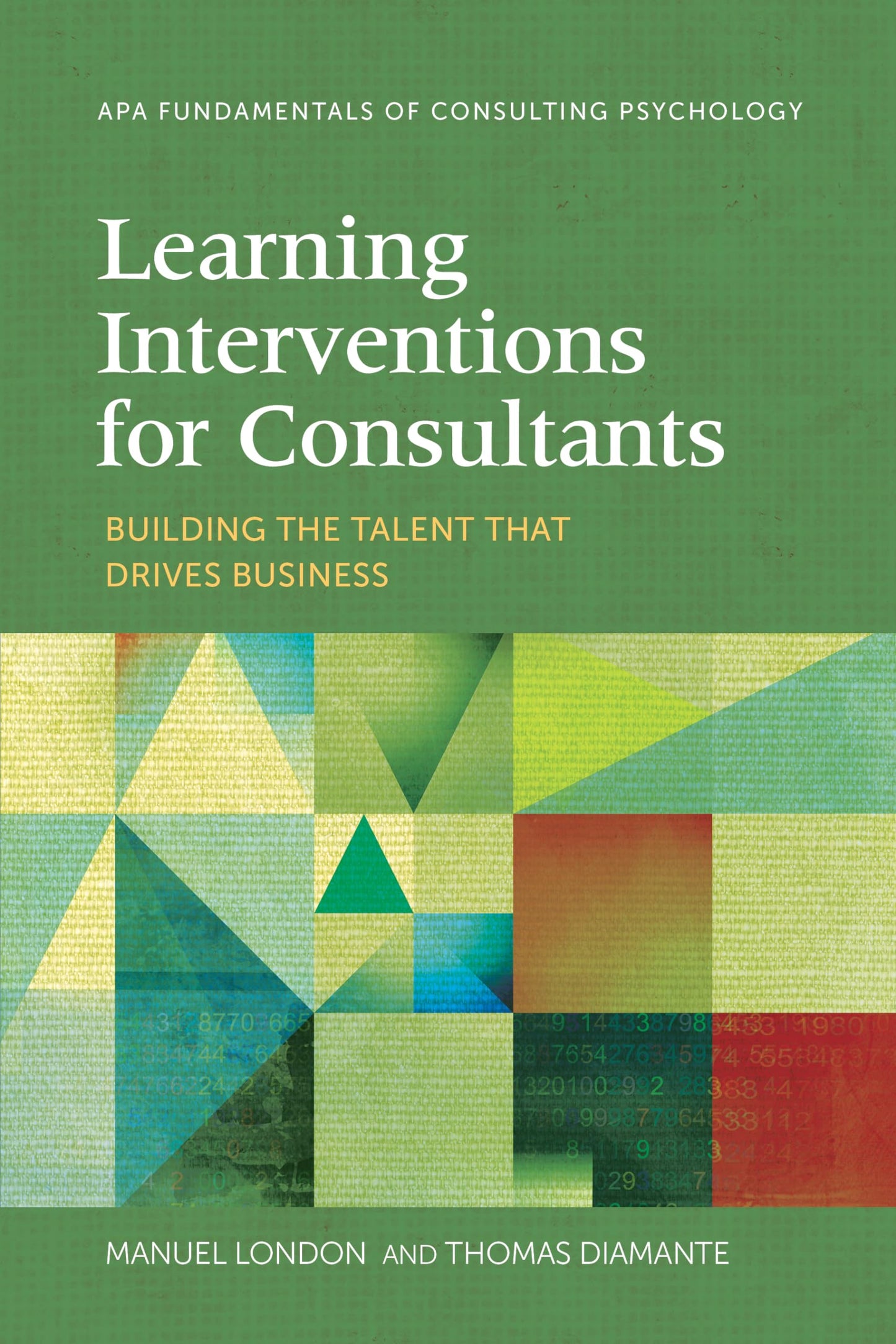 Learning Interventions for Consultants: Building the Talent That Drives Business (Fundamentals of Consulting Psychology Series) - 563