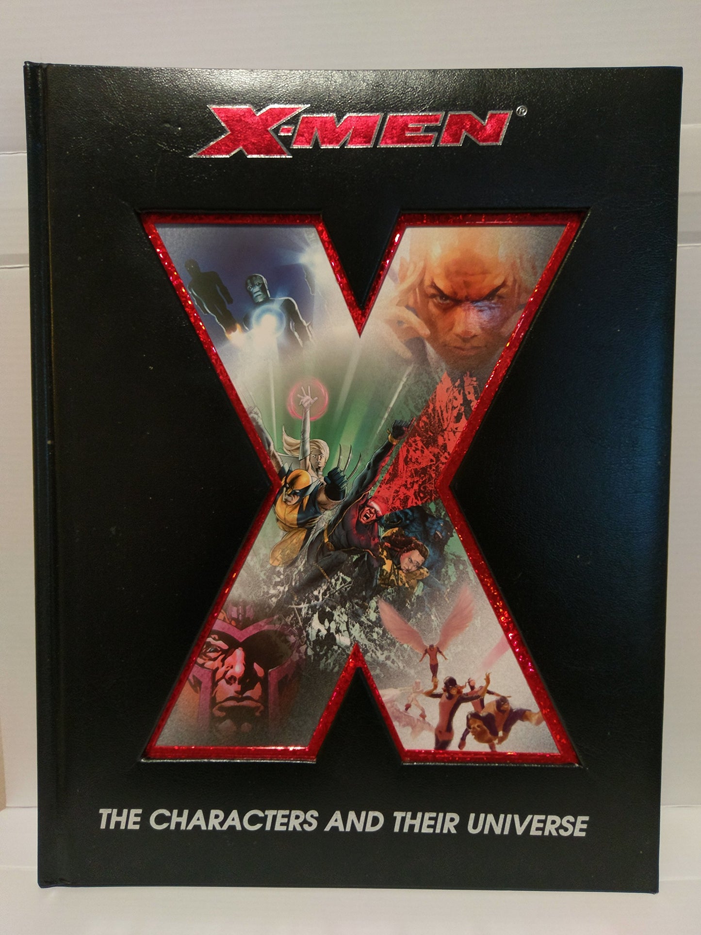 X-MEN The Characters and Their Universe