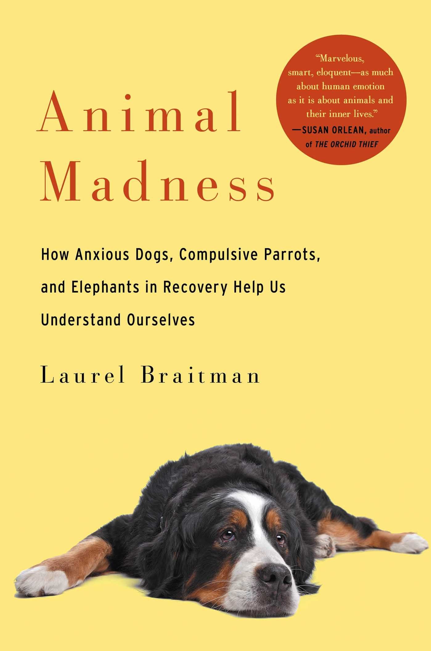Animal Madness: How Anxious Dogs, Compulsive Parrots, and Elephants in Recovery Help Us Understand Ourselves