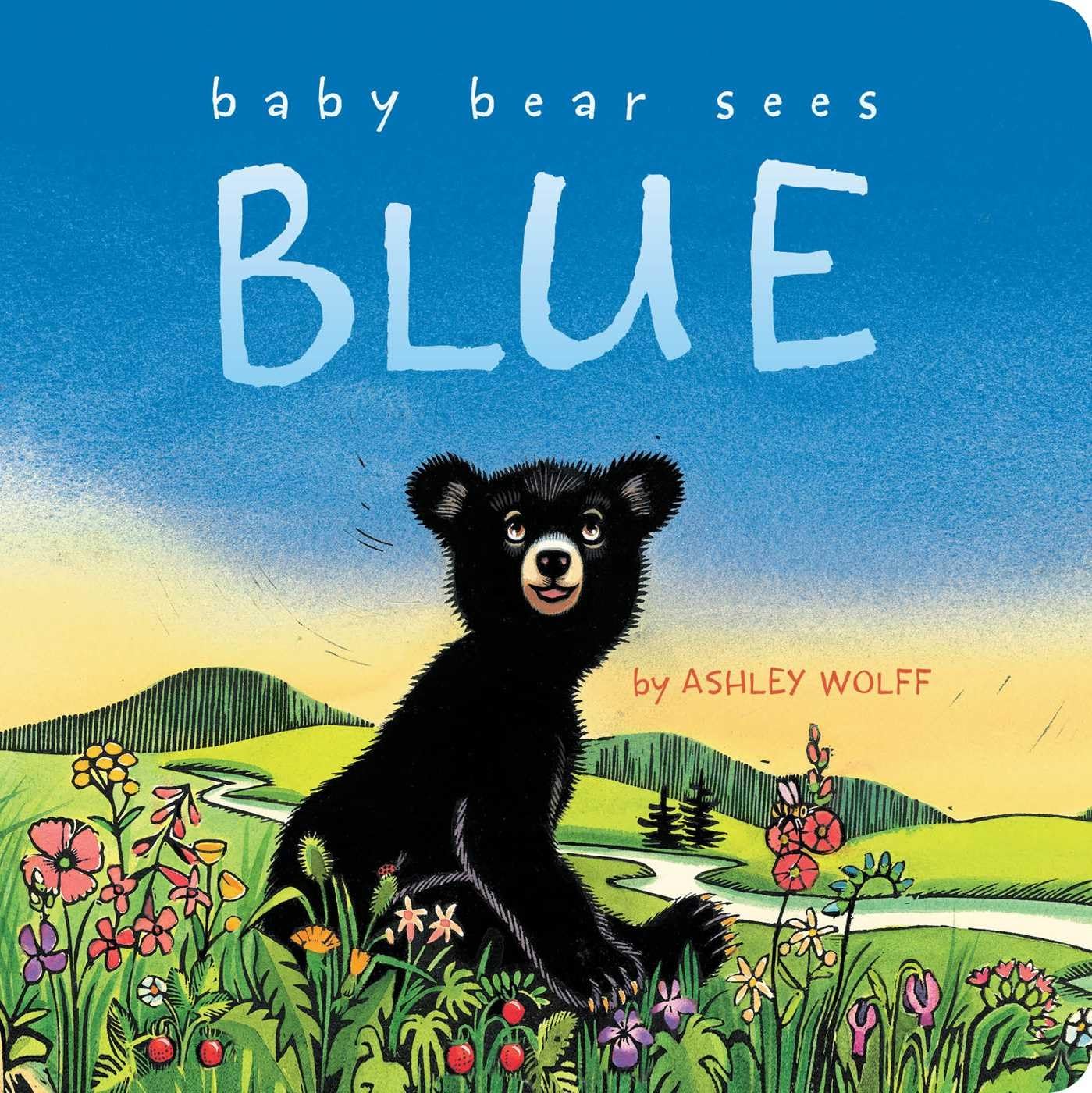 Baby Bear Sees Blue - 8824