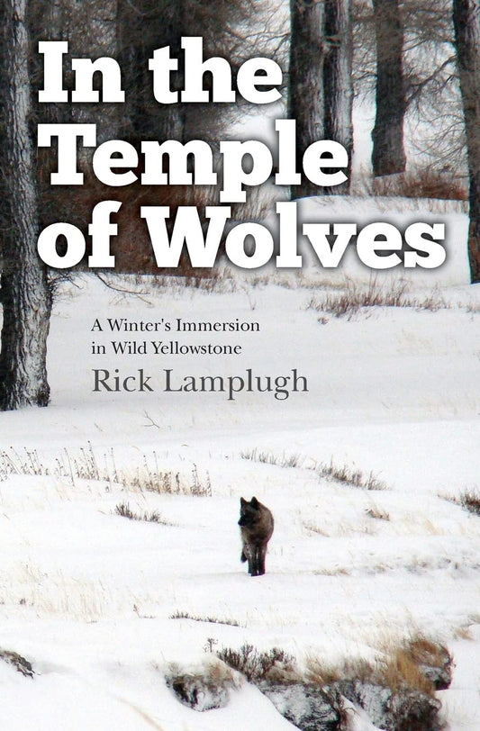 In the Temple of Wolves: A Winter's Immersion in Wild Yellowstone - 1854